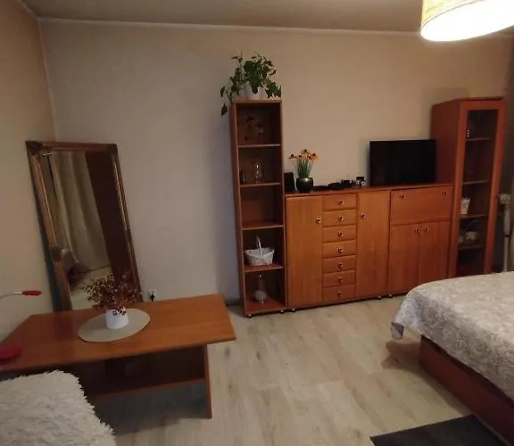 Апартаменты Manhattan Dziedzice